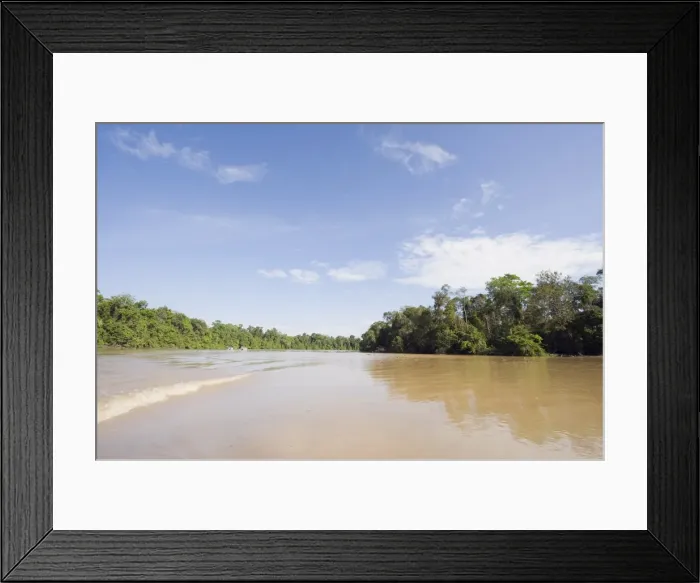 Framed Print : Sungai Kinabatangan River, Sabah, Borneo, Malaysia, Southeast Asia, Asia Framed Print : Sungai Kinabatangan River, Sabah, Borneo, Malaysia, Southeast Asia, Asia