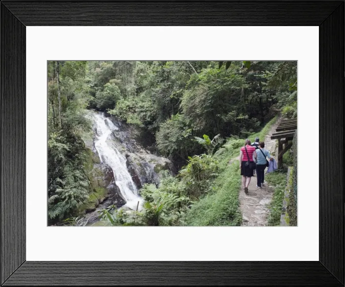 Framed Print : Tourists at Robinson Falls, Cameron Highlands, Perak state, Malaysia, Southeast Asia Framed Print : Tourists at Robinson Falls, Cameron Highlands, Perak state, Malaysia, Southeast Asia