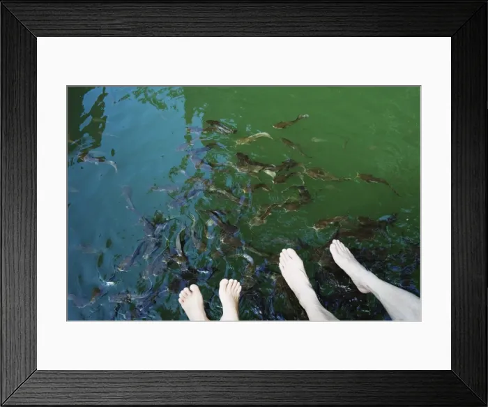 Framed Print : Fish therapy, Langkawi Island, Kedah State, Malaysia, Southeast Asia, Asia