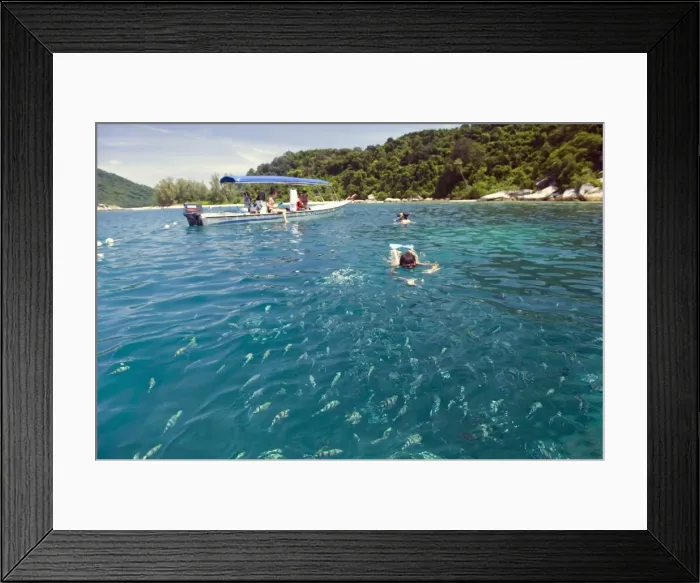 Framed Print : Snorkeling trip, Perhentian Islands, Terengganu State, Malaysia, Southeast Asia, Asia Framed Print : Snorkeling trip, Perhentian Islands, Terengganu State, Malaysia, Southeast Asia, Asia