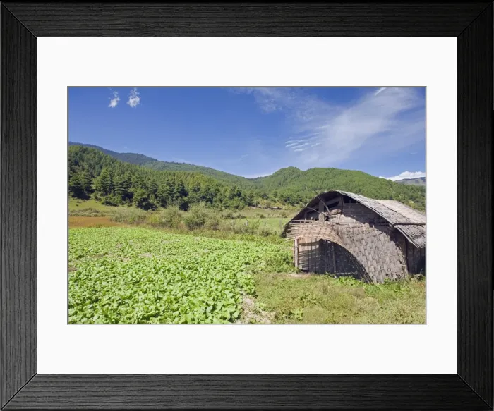 Framed Print : Bamboo hut, Bumthang, Chokor Valley, Bhutan, Asia Framed Print : Bamboo hut, Bumthang, Chokor Valley, Bhutan, Asia