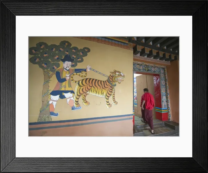 Framed Print : A monk walks past a tiger painting at Paro Rinpung Dzong dating from 1644 Framed Print : A monk walks past a tiger painting at Paro Rinpung Dzong dating from 1644