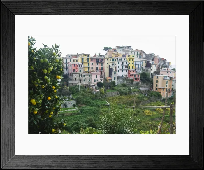 Framed Print : Pastel coloured houses, village of Corniglia, Cinque Terre, UNESCO World Heritage Site Framed Print : Pastel coloured houses, village of Corniglia, Cinque Terre, UNESCO World Heritage Site