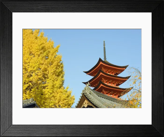 Framed Print : Pagoda and gingko trees, Itsukushima Shrine, UNESCO World Heritage Site Framed Print : Pagoda and gingko trees, Itsukushima Shrine, UNESCO World Heritage Site