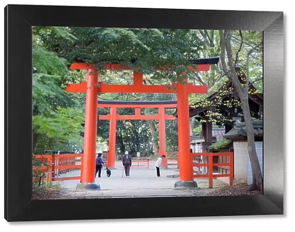 Two torii gates, Shimogamo Shrine, Tadasu no Mori, Kyoto, Japan, Asia