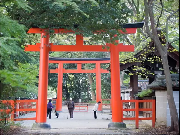 Two torii gates, Shimogamo Shrine, Tadasu no Mori, Kyoto, Japan, Asia
