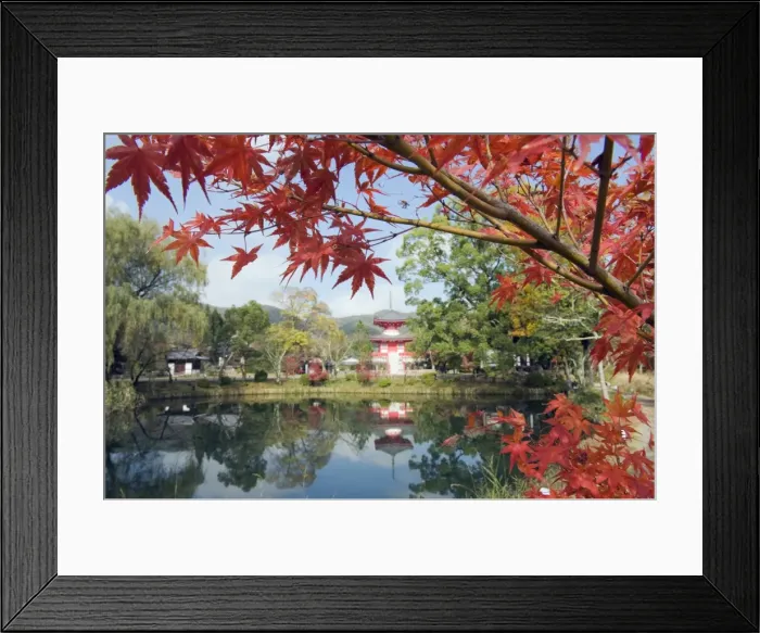 Framed Print : Pagoda on Osawa Pond, Daikaku ji (Daikakuji) Temple, dating from 876, Sagano area Framed Print : Pagoda on Osawa Pond, Daikaku ji (Daikakuji) Temple, dating from 876, Sagano area