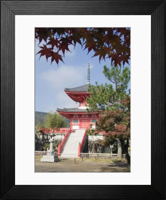 Framed Print : Autumn colours at Daikaku ji (Daikakuji) Temple, dating from 876, Sagano area Framed Print : Autumn colours at Daikaku ji (Daikakuji) Temple, dating from 876, Sagano area