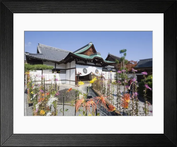 Framed Print : Ikebana flower arrangement, Daikaku ji (Daikakuji) Temple, dating from 876 Framed Print : Ikebana flower arrangement, Daikaku ji (Daikakuji) Temple, dating from 876
