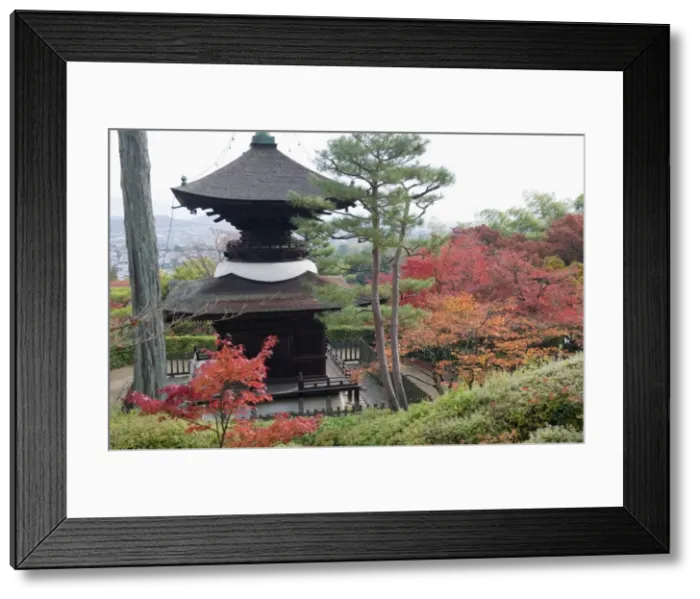 Framed Print : Autumn maple leaves at the 16th century Jojakko ji (Jojakkoji) Temple, Arashiyama Sagano area Framed Print : Autumn maple leaves at the 16th century Jojakko ji (Jojakkoji) Temple, Arashiyama Sagano area
