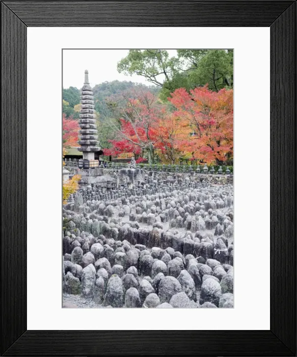 Framed Print : Jizo stone statues and autumn maple leaves at Adashino Nenbutsu dera temple Framed Print : Jizo stone statues and autumn maple leaves at Adashino Nenbutsu dera temple