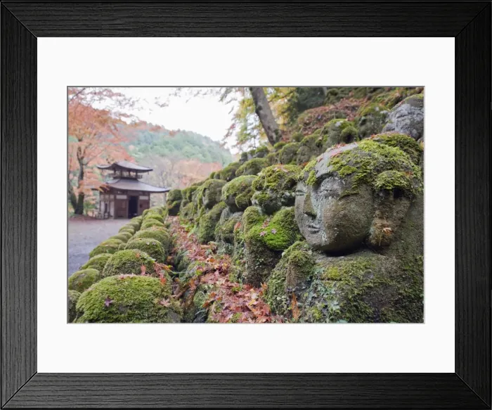 Framed Print : Stone statues and autumn maple leaves at Otagi Nenbutsu ji Temple, Arashiyama Sagano area Framed Print : Stone statues and autumn maple leaves at Otagi Nenbutsu ji Temple, Arashiyama Sagano area