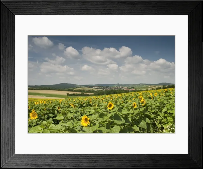 Framed Print : View Falkenstein Castle and surrounding countryside, Niederosterreich, Austria, Europe Framed Print : View Falkenstein Castle and surrounding countryside, Niederosterreich, Austria, Europe