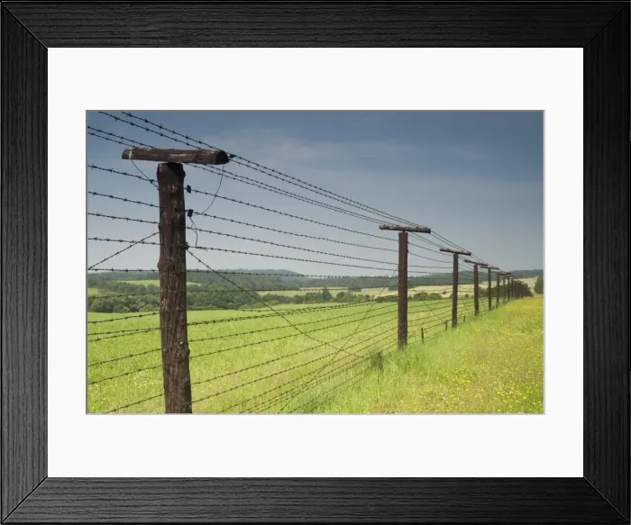 Framed Print : Only section that remains of Iron Curtain in Czech Republic, 350m length of barbed wire fence Framed Print : Only section that remains of Iron Curtain in Czech Republic, 350m length of barbed wire fence