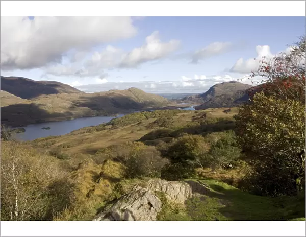 Queen Victoria Ladies View, Upper Lake, Killarney National Park, County Kerry