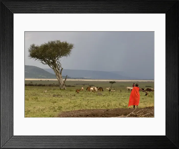 Framed Print : Masai man, Masai Mara, Kenya, East Africa, Africa Framed Print : Masai man, Masai Mara, Kenya, East Africa, Africa