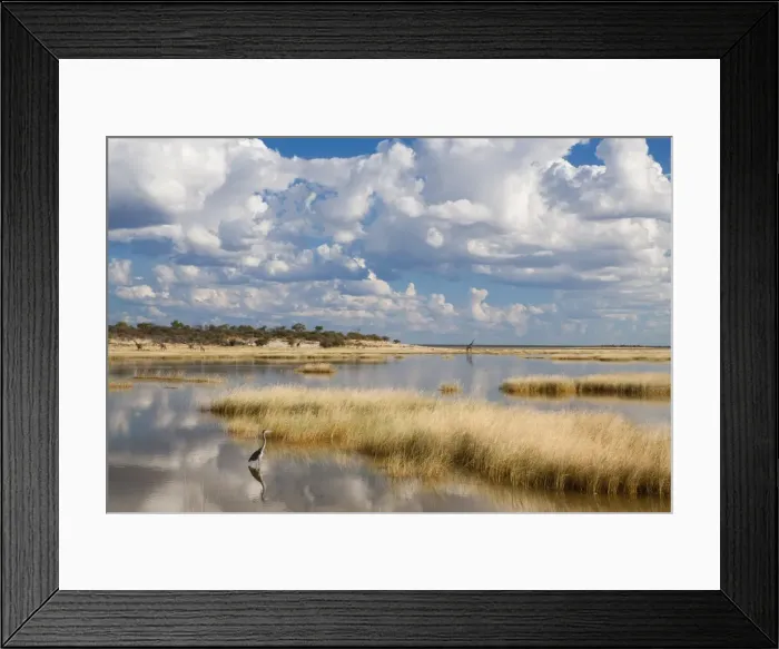 Framed Print : Etosha Pan after rains, Etosha National Park, Namibia, Africa Framed Print : Etosha Pan after rains, Etosha National Park, Namibia, Africa