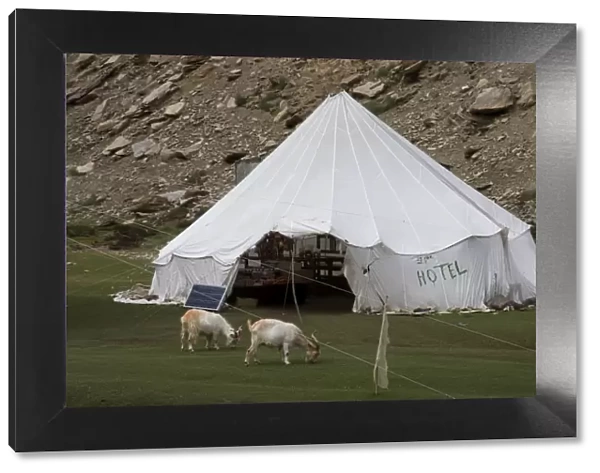 Tent hotel, Tsomori, Ladakh, India, Asia