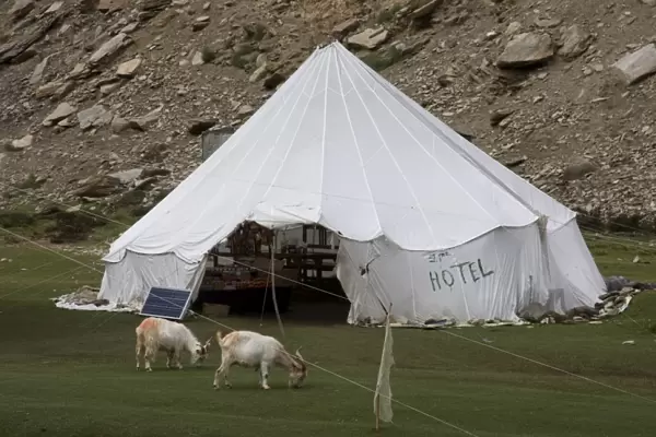 Tent hotel, Tsomori, Ladakh, India, Asia