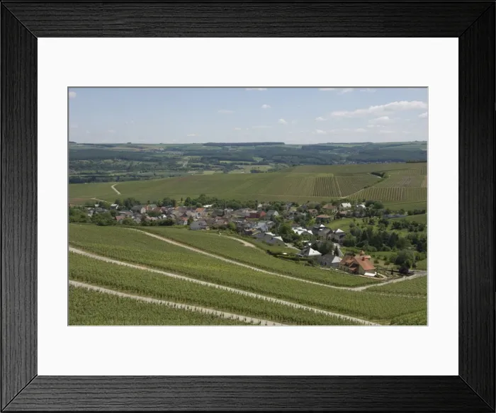 Framed Print : Vineyards in the Moselle Valley, Luxembourg, Europe Framed Print : Vineyards in the Moselle Valley, Luxembourg, Europe