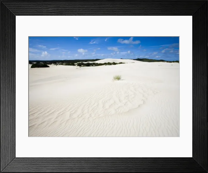 Framed Print : Little Sahara, Kangaroo Island, South Australia, Australia, Pacific Framed Print : Little Sahara, Kangaroo Island, South Australia, Australia, Pacific