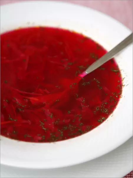 Borscht, a traditional Russian beetroot soup, Moscow, Russia, Europe