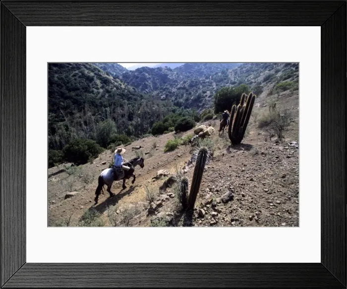 Framed Print : Men on horseback carry supplies to cattle ranch on the outskirts of Santiago Framed Print : Men on horseback carry supplies to cattle ranch on the outskirts of Santiago