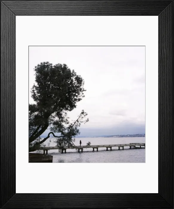 Framed Print : Woman stands on dock next to pine tree, Lake Washington, Seattle, Washington State Framed Print : Woman stands on dock next to pine tree, Lake Washington, Seattle, Washington State