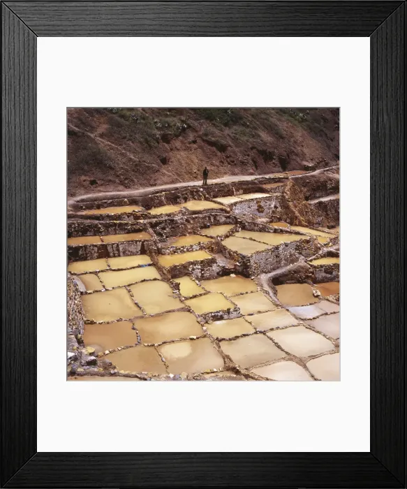 Framed Print : Man looking at salt pans, Salineras de Maras, Sacred Valley, Cuzco Region Framed Print : Man looking at salt pans, Salineras de Maras, Sacred Valley, Cuzco Region