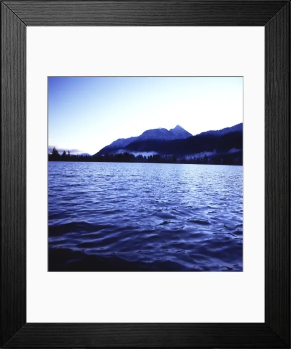 Framed Print : Water, trees, and mountains viewed from the waters of Lake Quinault, Olympic National Park Framed Print : Water, trees, and mountains viewed from the waters of Lake Quinault, Olympic National Park