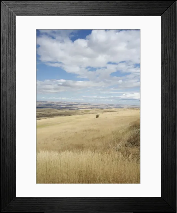 Framed Print : Farmland off Highway 84, near Pendleton, Oregon, United States of America, North America Framed Print : Farmland off Highway 84, near Pendleton, Oregon, United States of America, North America