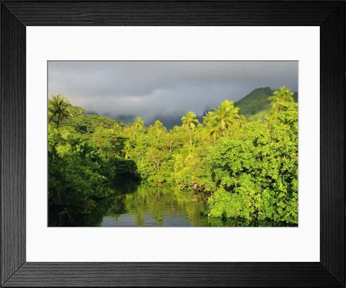 Framed Print : Mount Tefatua and tropical rainforest, Raiatea, French Polynesia, South Pacific Ocean Framed Print : Mount Tefatua and tropical rainforest, Raiatea, French Polynesia, South Pacific Ocean