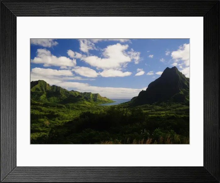 Framed Print : Opunohu Valley and Mount Rotui, Moorea, French Polynesia, South Pacific Ocean, Pacific Framed Print : Opunohu Valley and Mount Rotui, Moorea, French Polynesia, South Pacific Ocean, Pacific