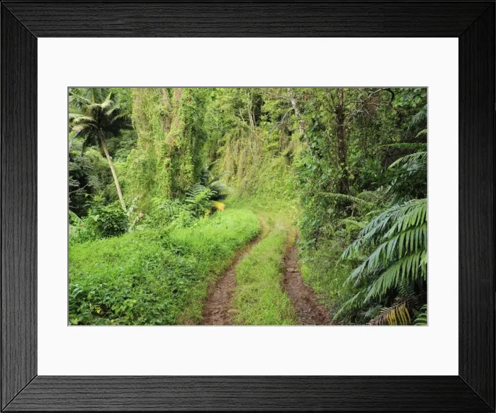 Framed Print : 4WD track, Tupapa Valley, Rarotonga, Cook Islands, South Pacific Ocean, Pacific