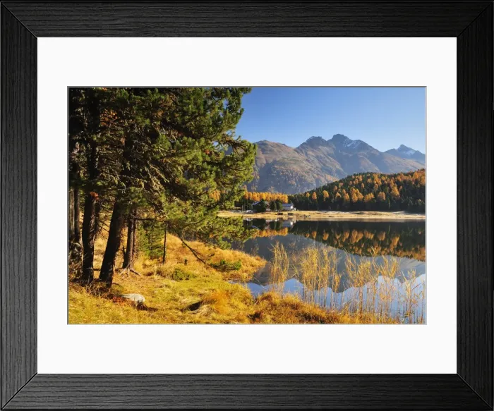 Framed Print : Laj da Staz, St. Moritz, Switzerland, Europe Framed Print : Laj da Staz, St. Moritz, Switzerland, Europe