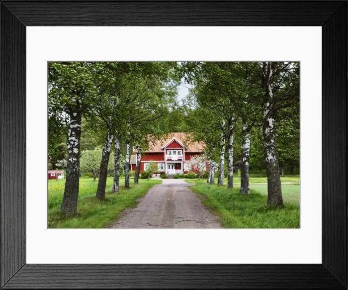 Framed Print : Farmhouse, Varmland, Sweden, Scandinavia, Europe Framed Print : Farmhouse, Varmland, Sweden, Scandinavia, Europe