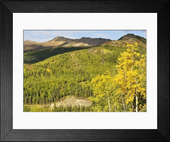 Framed Print : Alaska Range, Alaska, United States of America, North America Framed Print : Alaska Range, Alaska, United States of America, North America