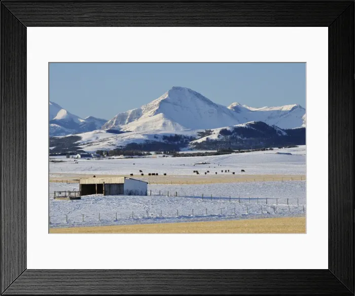 Framed Print : Prairie and Rocky Mountains, near Pincher Creek, Alberta, Canada, North America Framed Print : Prairie and Rocky Mountains, near Pincher Creek, Alberta, Canada, North America