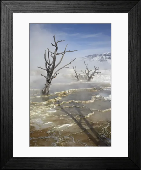 Framed Print : Main Terrace Hot Spring in winter, Yellowstone National Park, UNESCO World Heritage Site Framed Print : Main Terrace Hot Spring in winter, Yellowstone National Park, UNESCO World Heritage Site