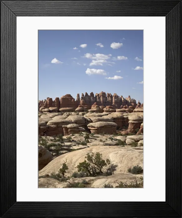 Framed Print : Needles near Elephant Hill, Canyonlands National Park (Needles District) Framed Print : Needles near Elephant Hill, Canyonlands National Park (Needles District)