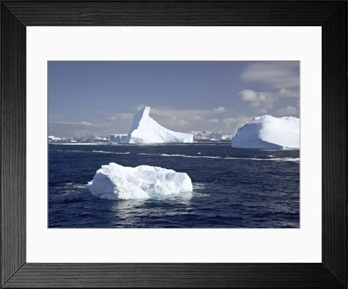 Framed Print : Icebergs, Laurie Island, South Orkney Islands, Polar Regions Framed Print : Icebergs, Laurie Island, South Orkney Islands, Polar Regions