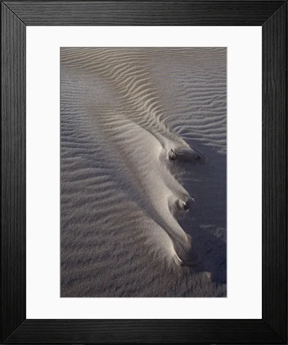 Framed Print : Sand dune formations with frost, Great Sand Dunes National Park and Preserve Framed Print : Sand dune formations with frost, Great Sand Dunes National Park and Preserve