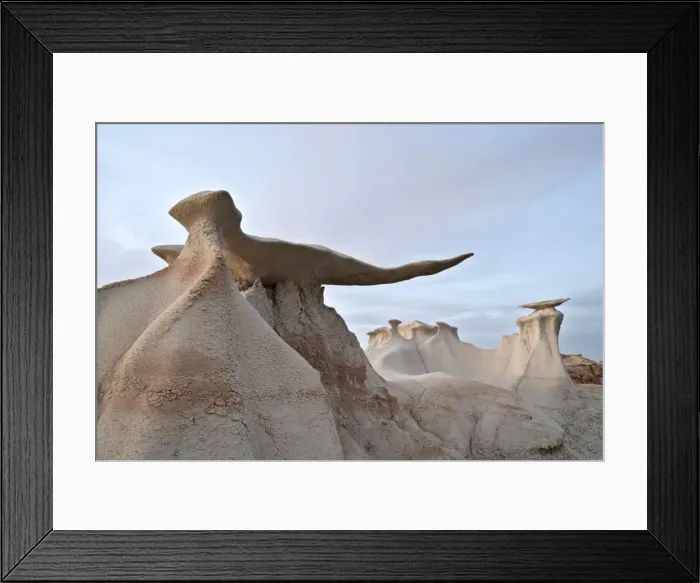 Framed Print : The Stone Wings formations at dusk, Bisti Wilderness, New Mexico, United States of America Framed Print : The Stone Wings formations at dusk, Bisti Wilderness, New Mexico, United States of America