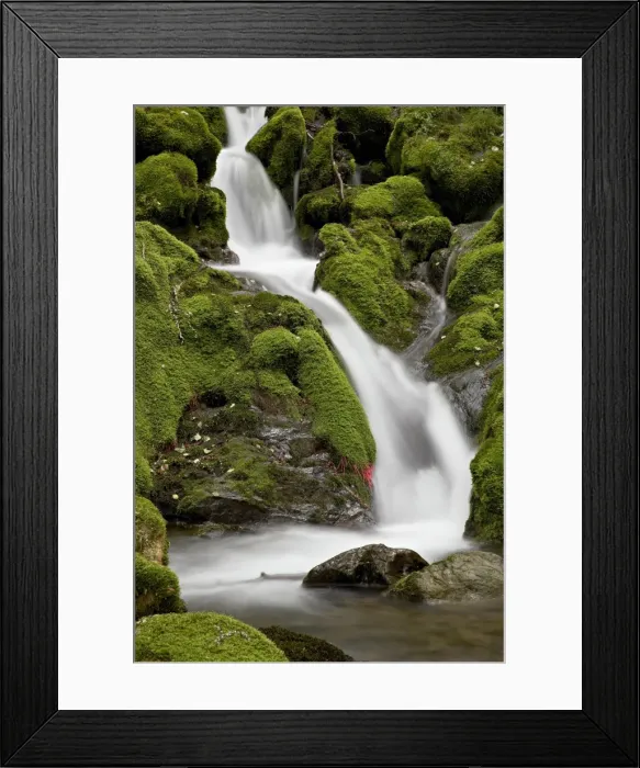 Framed Print : Cascade on Falls Creek, Chugach State Park, Alaska, United States of America Framed Print : Cascade on Falls Creek, Chugach State Park, Alaska, United States of America