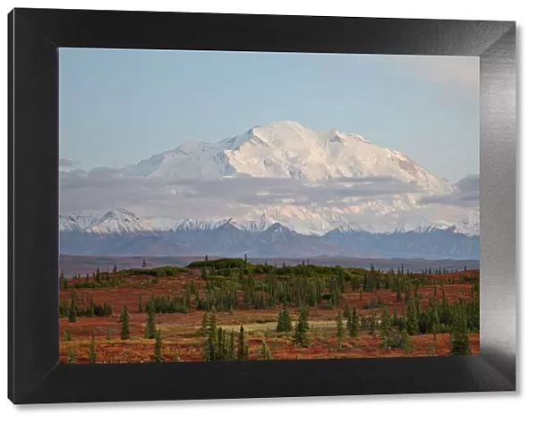 Mount McKinley (Mount Denali) at sunset in the fall, Denali National Park and Preserve