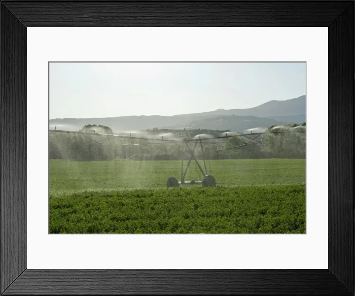 Framed Print : Irrigation in countryside near San Quirico d Orcia, Siena, Tuscany, Italy, Europe Framed Print : Irrigation in countryside near San Quirico d Orcia, Siena, Tuscany, Italy, Europe