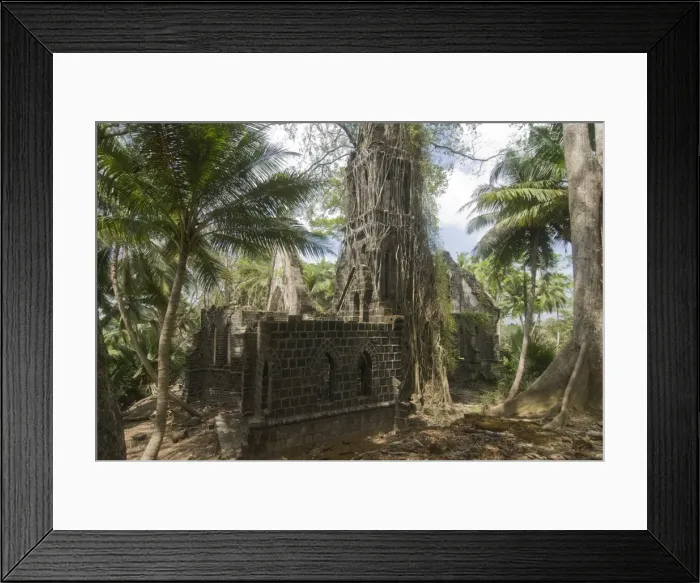 Framed Print : Overgrown church with big roots, Ross Island, Andaman Islands, India, Asia Framed Print : Overgrown church with big roots, Ross Island, Andaman Islands, India, Asia
