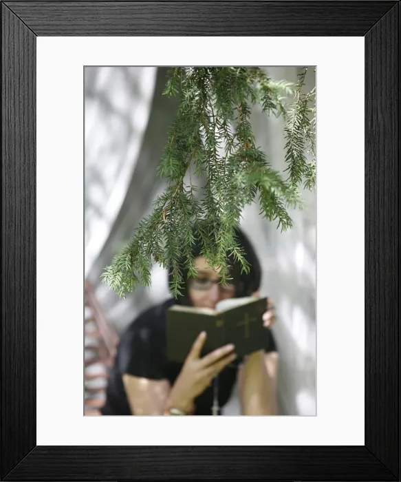 Framed Print : Woman reading the Bible, Chatillon-sur-Chalaron, Ain, France, Europe Framed Print : Woman reading the Bible, Chatillon-sur-Chalaron, Ain, France, Europe