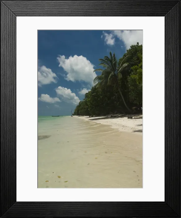 Framed Print : Silver sand beach with turquoise sea, Havelock Island, Andaman Islands Framed Print : Silver sand beach with turquoise sea, Havelock Island, Andaman Islands