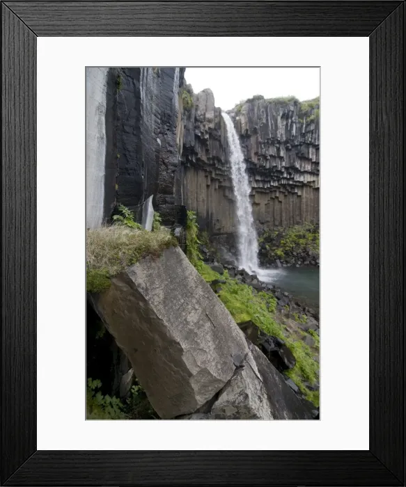 Framed Print : Svartifoss waterfall, Skaftafell National Park, Iceland, Polar Regions Framed Print : Svartifoss waterfall, Skaftafell National Park, Iceland, Polar Regions